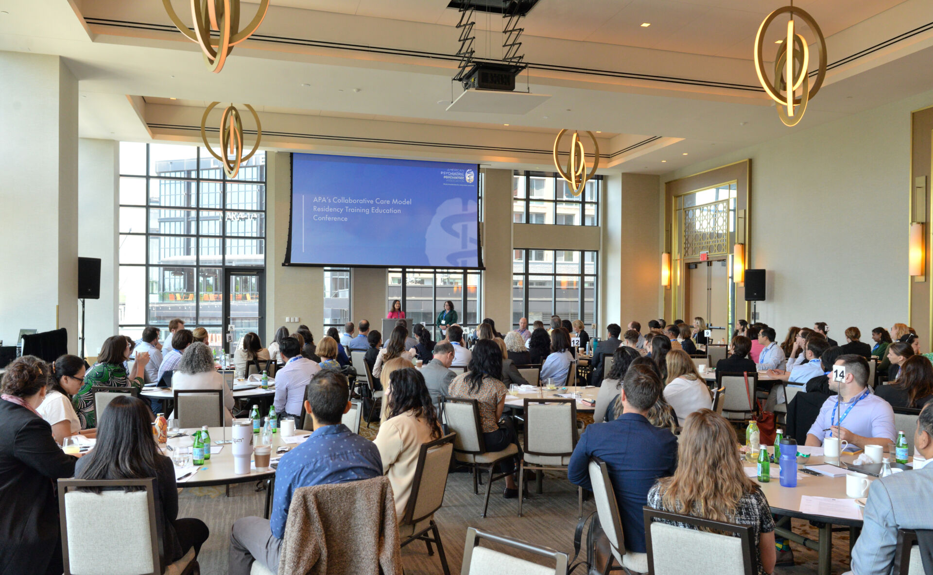 Apa Collaborative Care Model Residency Training Education Conference