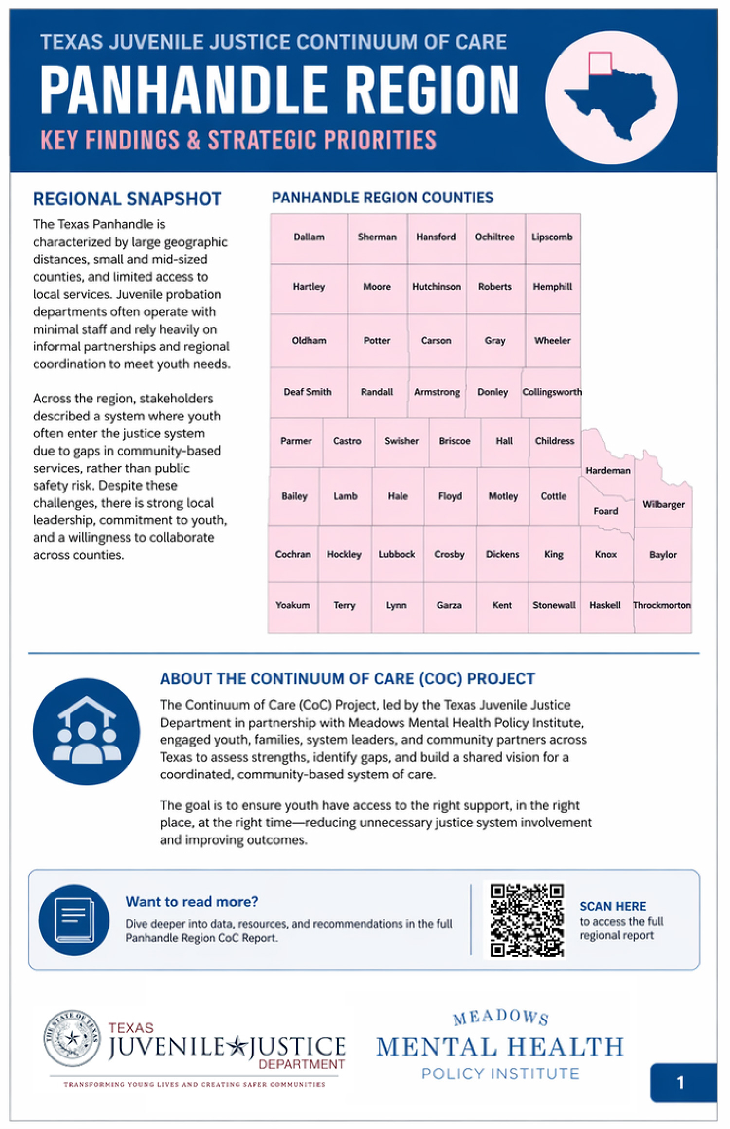 panhandle coc executive summary 1